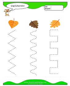 Çizgi Çalışma Sayfaları